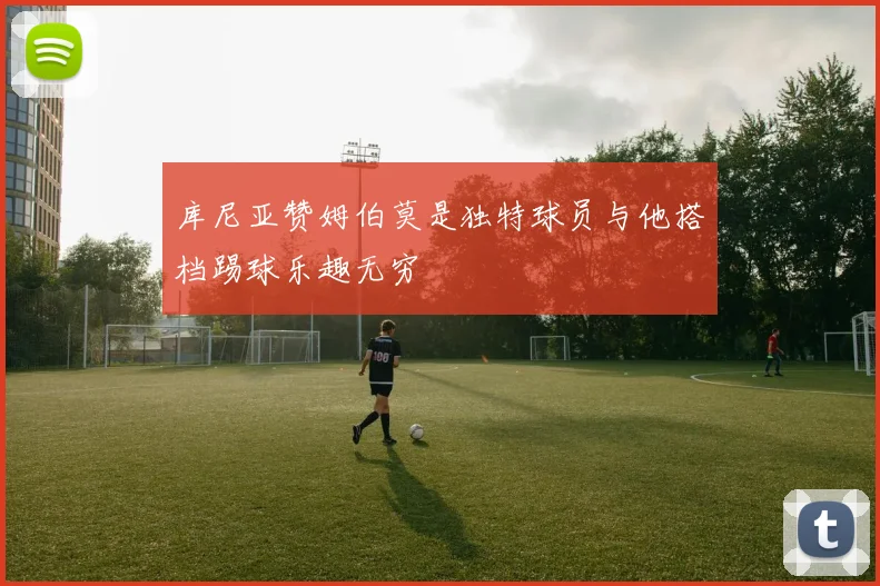 库尼亚赞姆伯莫是独特球员与他搭档踢球乐趣无穷